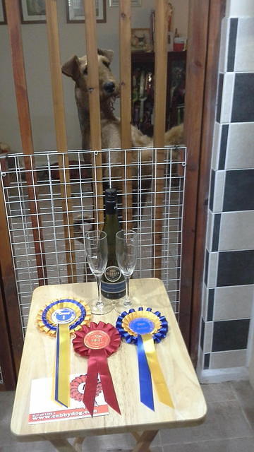 Hitchin & District Canine Society