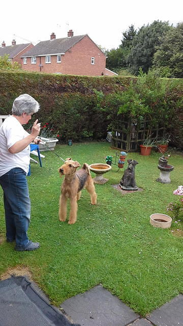 "Susan" "Brisline's Born In The USA For Daedal"