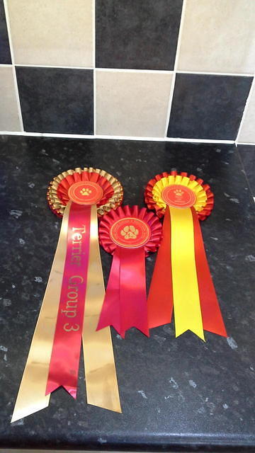 GREAT YARMOUTH &DISTRICT CANINE SOCIETY SHOW 24/9/2017.