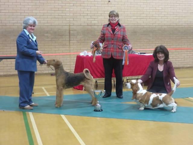 Brisline's Born In The USA For Daedal