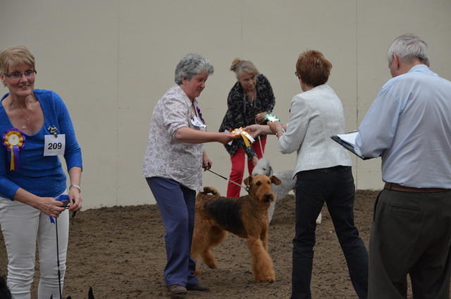 Clacton & District Canine Society
