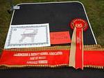 sHERINGHAM GORLESTONE & DISTRICT CANINE SOCIETY